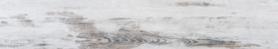 Innovation-Paperbark_0002