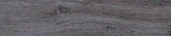 Stringy-Bark